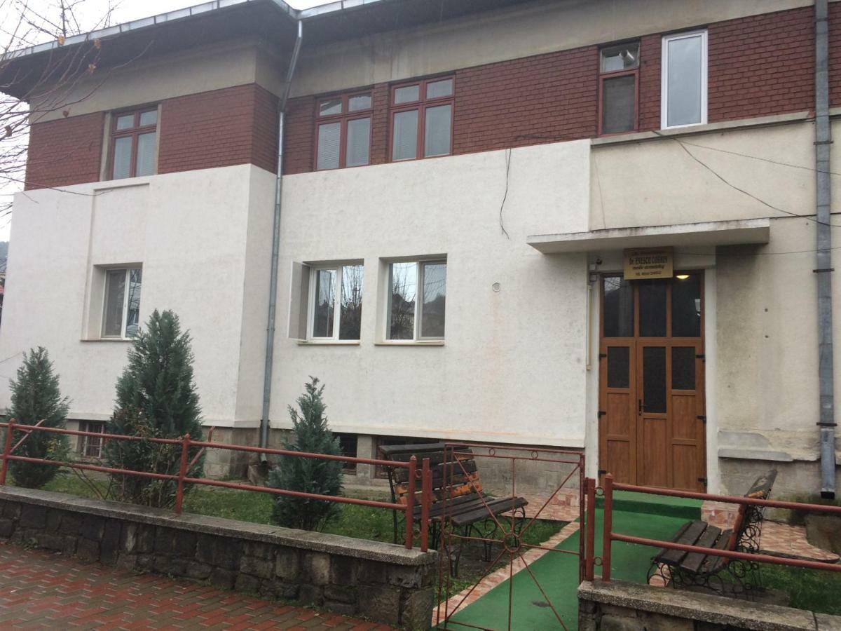 Garsoniera Mandrilor Apartment Slanic Exterior photo